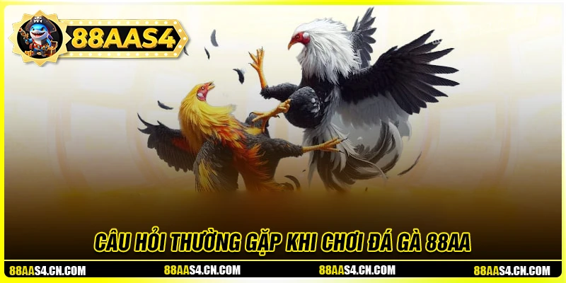 Giải đáp thắc mắc phổ biến về đá gà 88aa