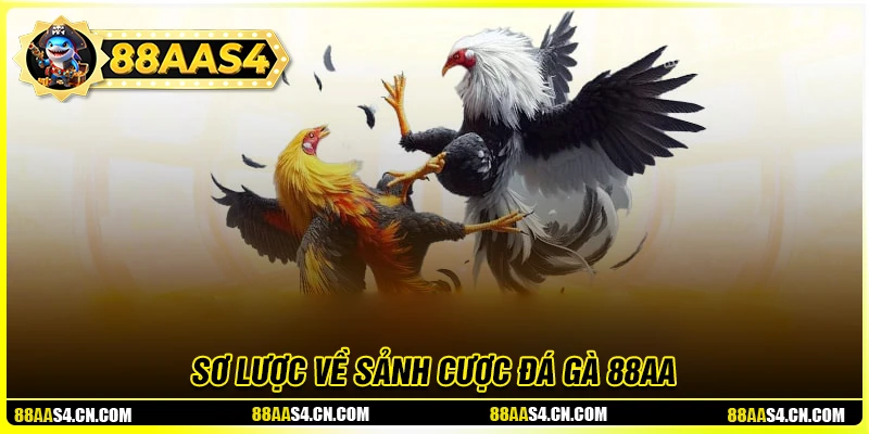 Sơ lược chung về sảnh đá gà 88aa